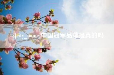 邯郸中国冠军品牌是真的吗
