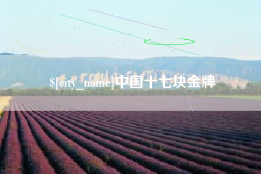 邯郸中国十七块金牌