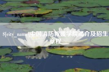 邯郸中国消防救援学院简介及招生章程