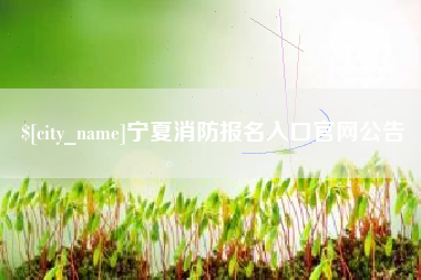 邯郸宁夏消防报名入口官网公告