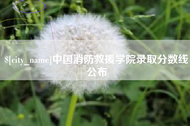 邯郸中国消防救援学院录取分数线公布