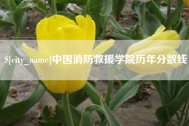 邯郸中国消防救援学院历年分数线