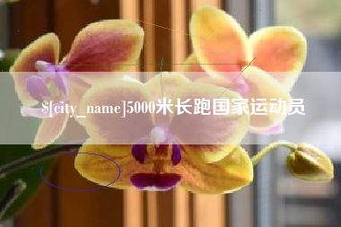 邯郸5000米长跑国家运动员