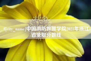 邯郸中国消防救援学院2021年浙江省录取分数线