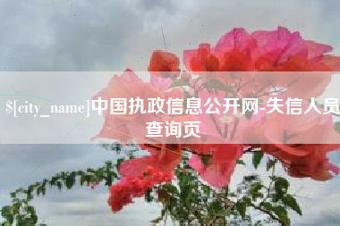 邯郸中国执政信息公开网-失信人员查询页
