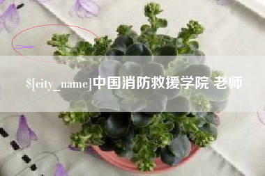 邯郸中国消防救援学院 老师