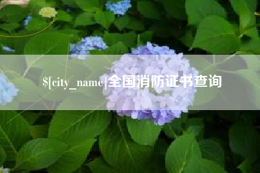邯郸全国消防证书查询