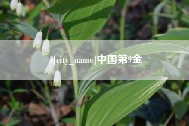 邯郸中国第9金