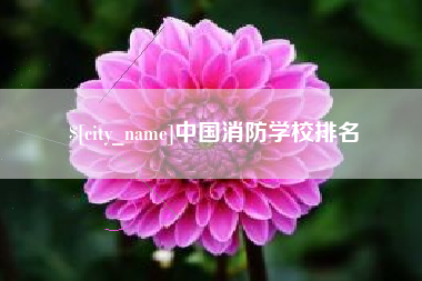 邯郸中国消防学校排名