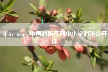 邯郸中国消防官网中小学消防公开课