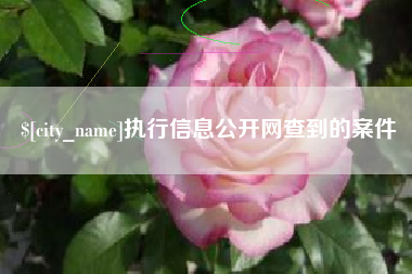 邯郸执行信息公开网查到的案件