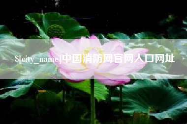 邯郸中国消防网官网入口网址
