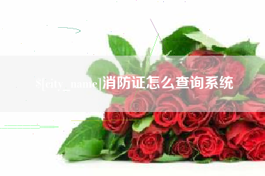 邯郸消防证怎么查询系统