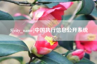 邯郸中国执行信息公开系统
