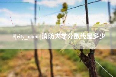 邯郸消防大学分数线是多少
