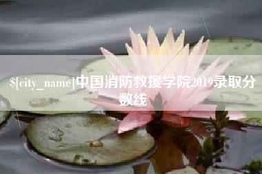 邯郸中国消防救援学院2019录取分数线