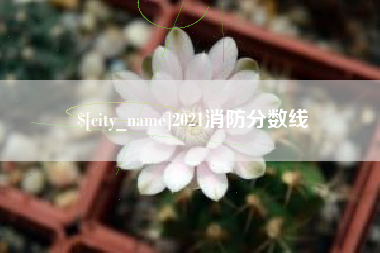 邯郸2021消防分数线