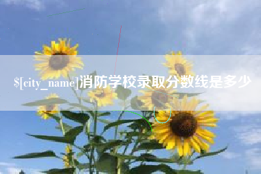 邯郸消防学校录取分数线是多少