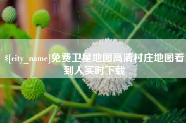邯郸免费卫星地图高清村庄地图看到人实时下载