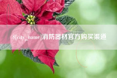 邯郸消防器材官方购买渠道