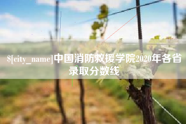 邯郸中国消防救援学院2020年各省录取分数线