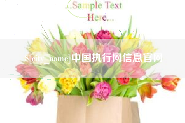 邯郸中国执行网信息官网