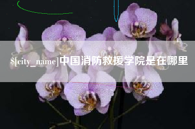 邯郸中国消防救援学院是在哪里