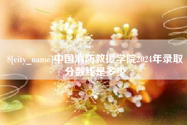 邯郸中国消防救援学院2024年录取分数线是多少