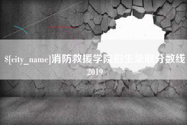 邯郸消防救援学院招生录取分数线2019