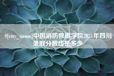 邯郸中国消防救援学院2021年四川录取分数线是多少