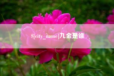 邯郸九金是谁