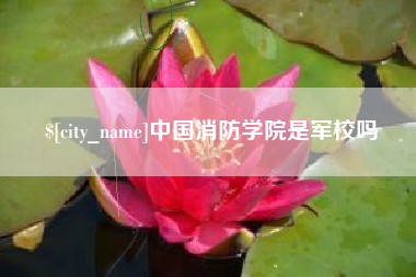 邯郸中国消防学院是军校吗
