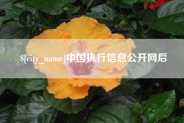 邯郸中国执行信息公开网后