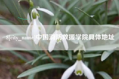 邯郸中国消防救援学院具体地址