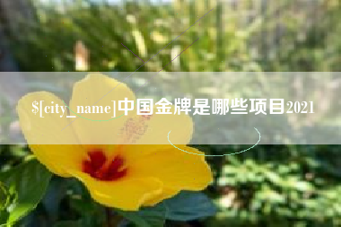 邯郸中国金牌是哪些项目2021