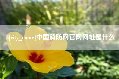 邯郸中国消防网官网网址是什么