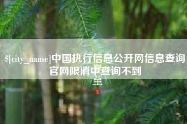 邯郸中国执行信息公开网信息查询官网限消中查询不到