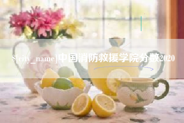 邯郸中国消防救援学院分数2020