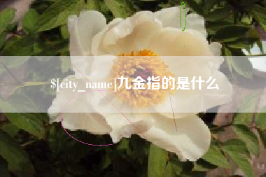 邯郸九金指的是什么