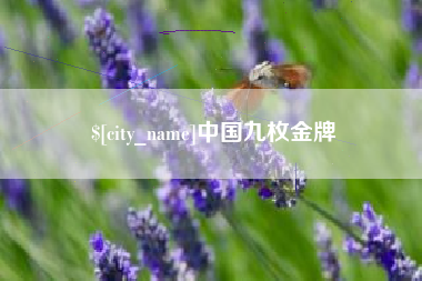 邯郸中国九枚金牌