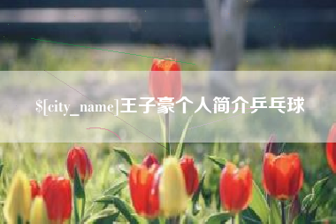 邯郸王子豪个人简介乒乓球