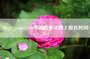 邯郸2020年消防考试网上报名时间
