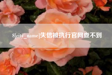 邯郸失信被执行官网查不到