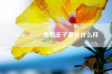 邯郸看看王子豪长什么样
