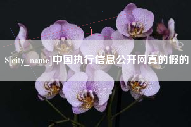邯郸中国执行信息公开网真的假的