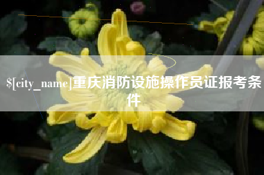 邯郸重庆消防设施操作员证报考条件