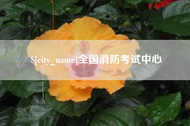 邯郸全国消防考试中心