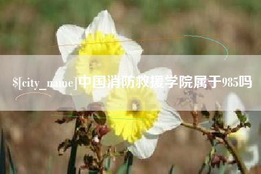 邯郸中国消防救援学院属于985吗