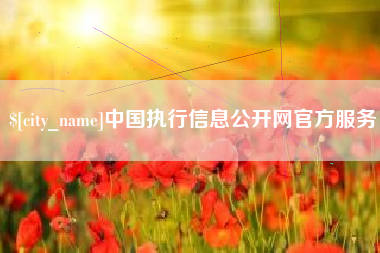 邯郸中国执行信息公开网官方服务
