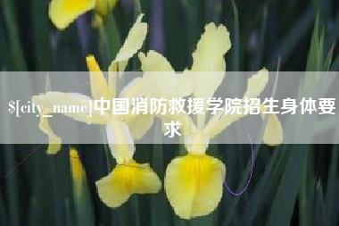 邯郸中国消防救援学院招生身体要求